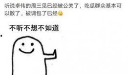 卓伟爆料刘小庆视频完整版,刘晓庆视频完整版事件始末