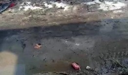 焦作武陟爆料事件最新