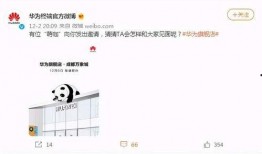 爆料新鲜大事件视频下载,爆料新鲜大事件幕后真相