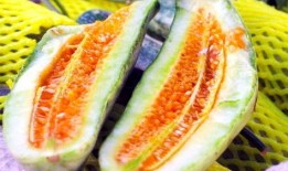 山东网红吃烧瓜视频,火辣滋味引发网友热议