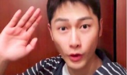 张翰朱梓骁爆料视频大全,娱乐圈幕后真相曝光