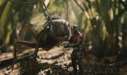 蚁人电影在线观看,微观世界的英雄传奇在线观影指南