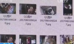 丽水网友爆料新闻报道视频,最新新闻报道视频引发热议