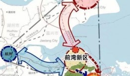 前湾新区爆料事件最新进展