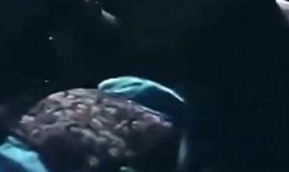 圈内八卦爆料吞天蟒,揭秘神秘巨蟒的传奇故事与圈内八卦