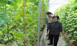 阎良吃瓜最新事件爆料是真的吗,真相揭秘还是网络谣言？