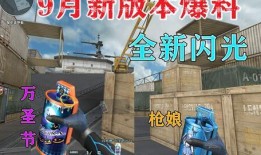 穿越火线爆料枪视频,神秘枪械视频曝光，性能解析引热议