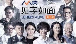 演员的考验在线观看,揭秘明星幕后真实演技瞬间