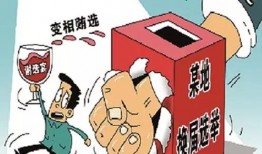 临沂经开区爆料案件最新,真相渐明，疑云散去