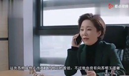 天涯爆料周姐视频大全集,周姐视频大全集深度解析